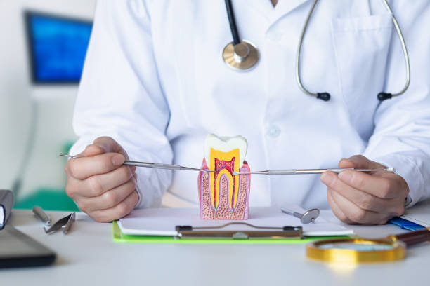 Best Emergency Dental Services for Seniors in Ingram, PA